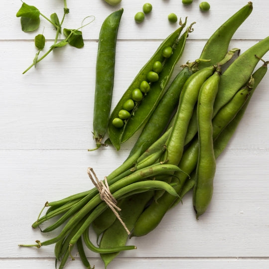 Seed Vegetables