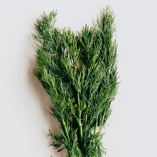 Dill