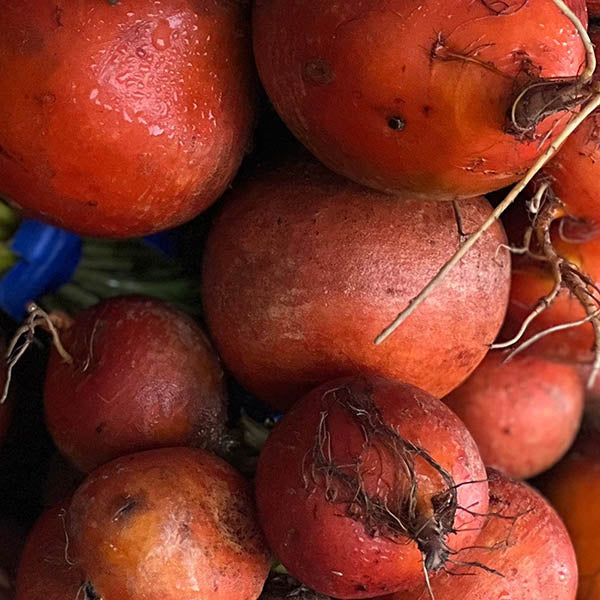 Gold Beets