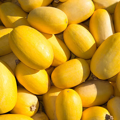 Spagetti Squash