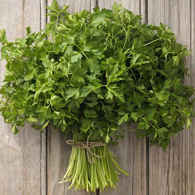 Parsley