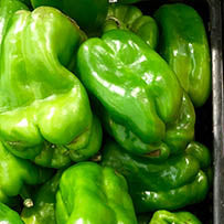Green Peppers