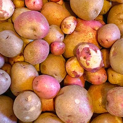 Red Potatoes