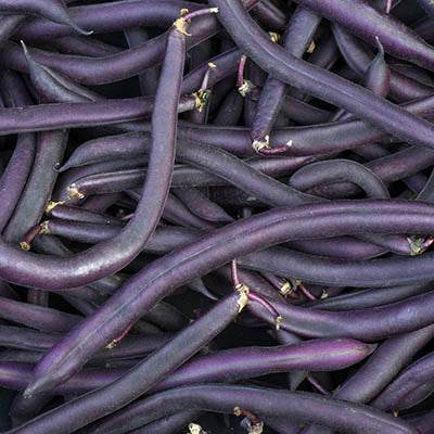 Purple Beans