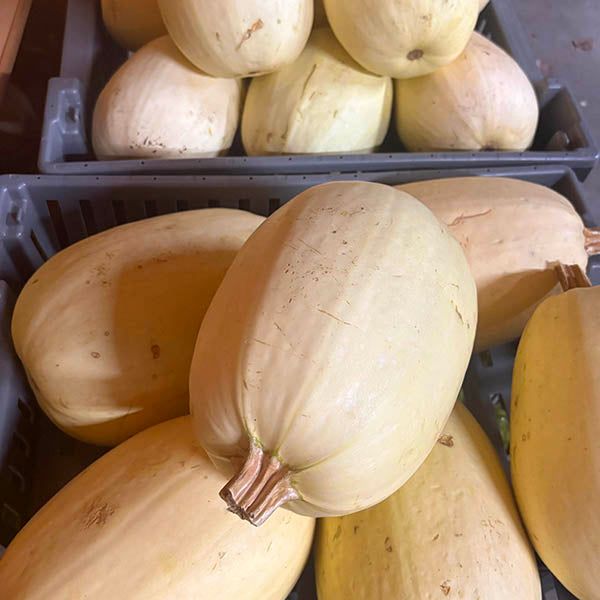 Spaghetti Squash